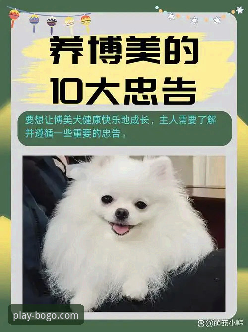 博狗官方网站评测 博狗官方网站到底值不值得信赖?老用户亲测分享核心体验